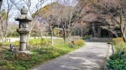 Liburan Tak Terlupakan di Jepang: Tempat Hits yang Wajib Dikunjungi 2025