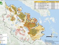 KLHK Catat 255 Titik Panas di Indonesia, Riau Jadi Provinsi dengan Kasus Terbanyak